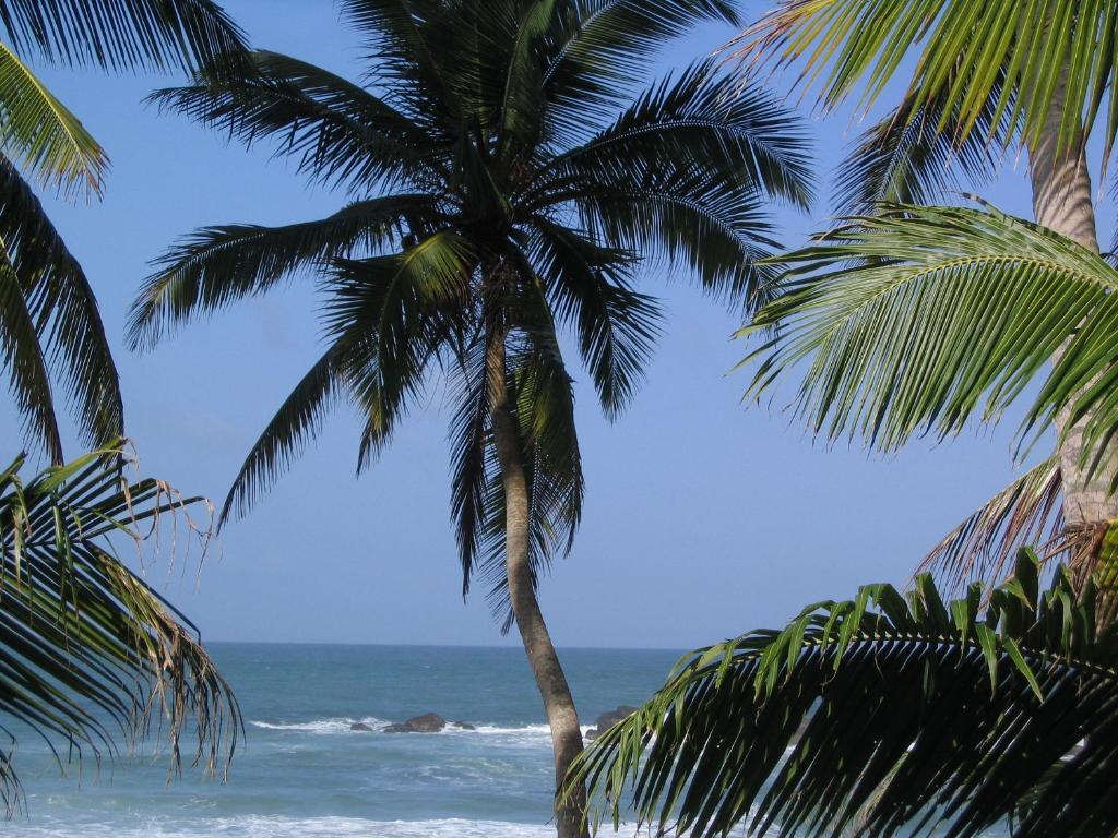 Unawatuna Beach House מראה חיצוני תמונה